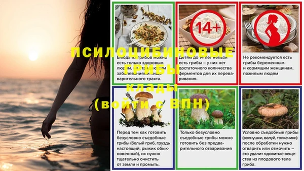 не бодяженный Ладушкин