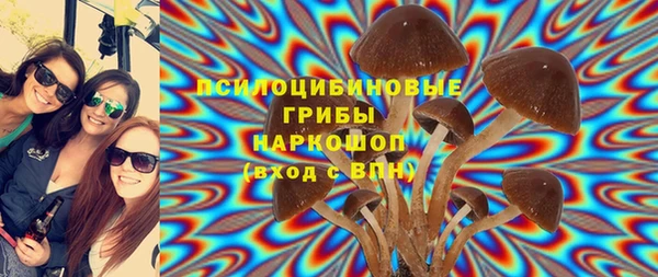 не бодяженный Ладушкин
