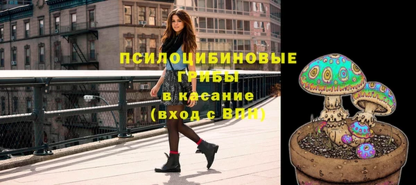 не бодяженный Ладушкин