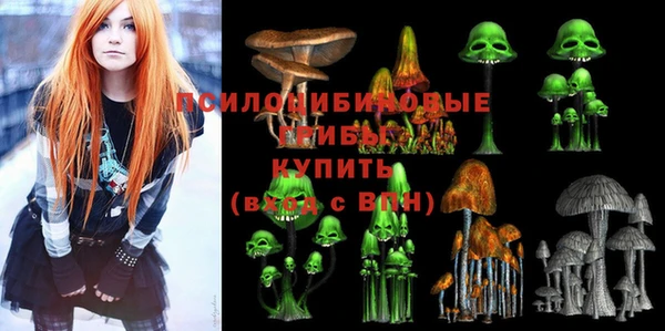не бодяженный Ладушкин
