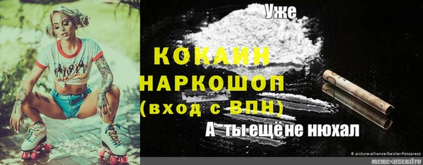 соль ск Лабытнанги