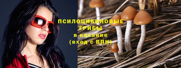 не бодяженный Ладушкин