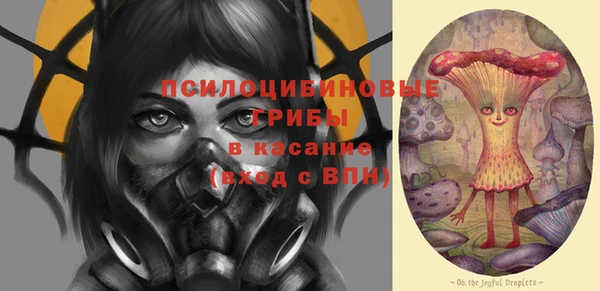 не бодяженный Ладушкин