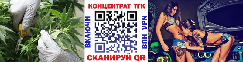 omg зеркало  Туринск  ТГК Wax 